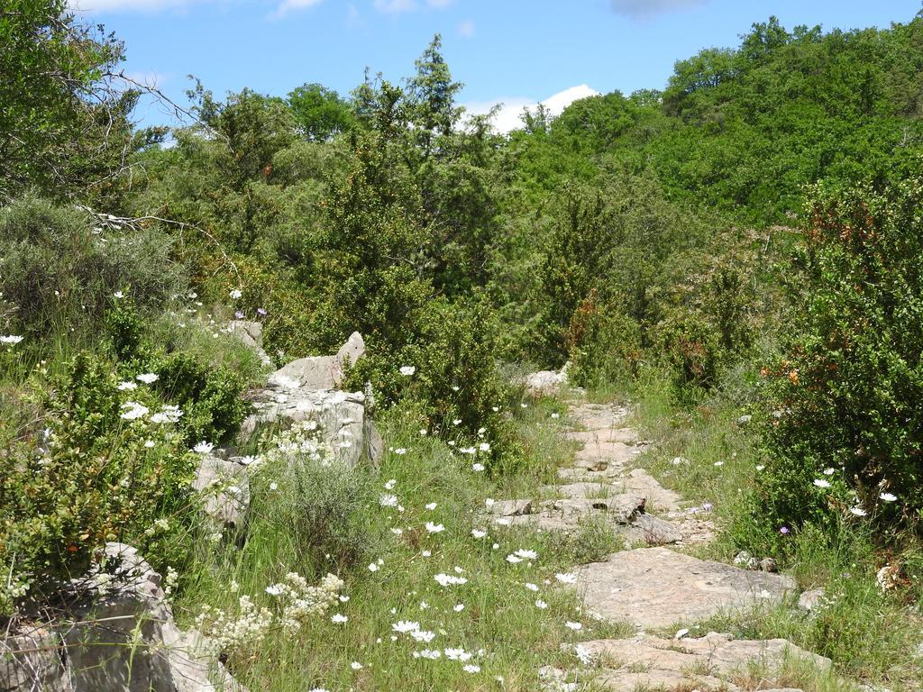 La Nichoule Villa Rosières Екстериор снимка
